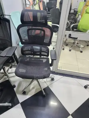 Ergonomics Chairs