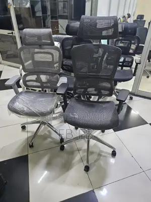 Ergonomics Chairs