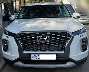 Hyundai Palisade 2023 White