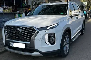 Hyundai Palisade 2023 White