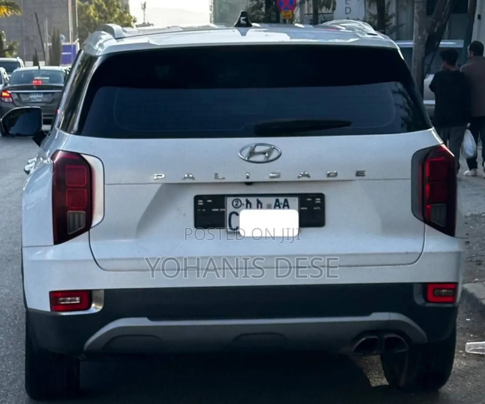 Hyundai Palisade 2023 White