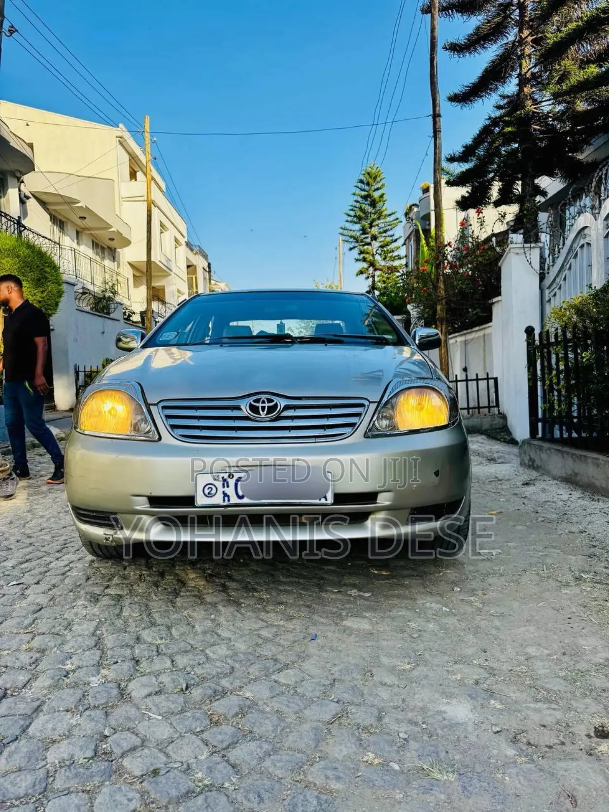 Toyota Corolla 2003 Teal