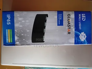 Gloastar ባለ 4 አይን ዘመናዊ የኮሪደር እና የፋሳድ መብራት (Waterproof Led Wall Light)