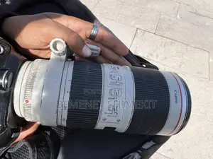 Zebra 70-200mm Lens Mark 2