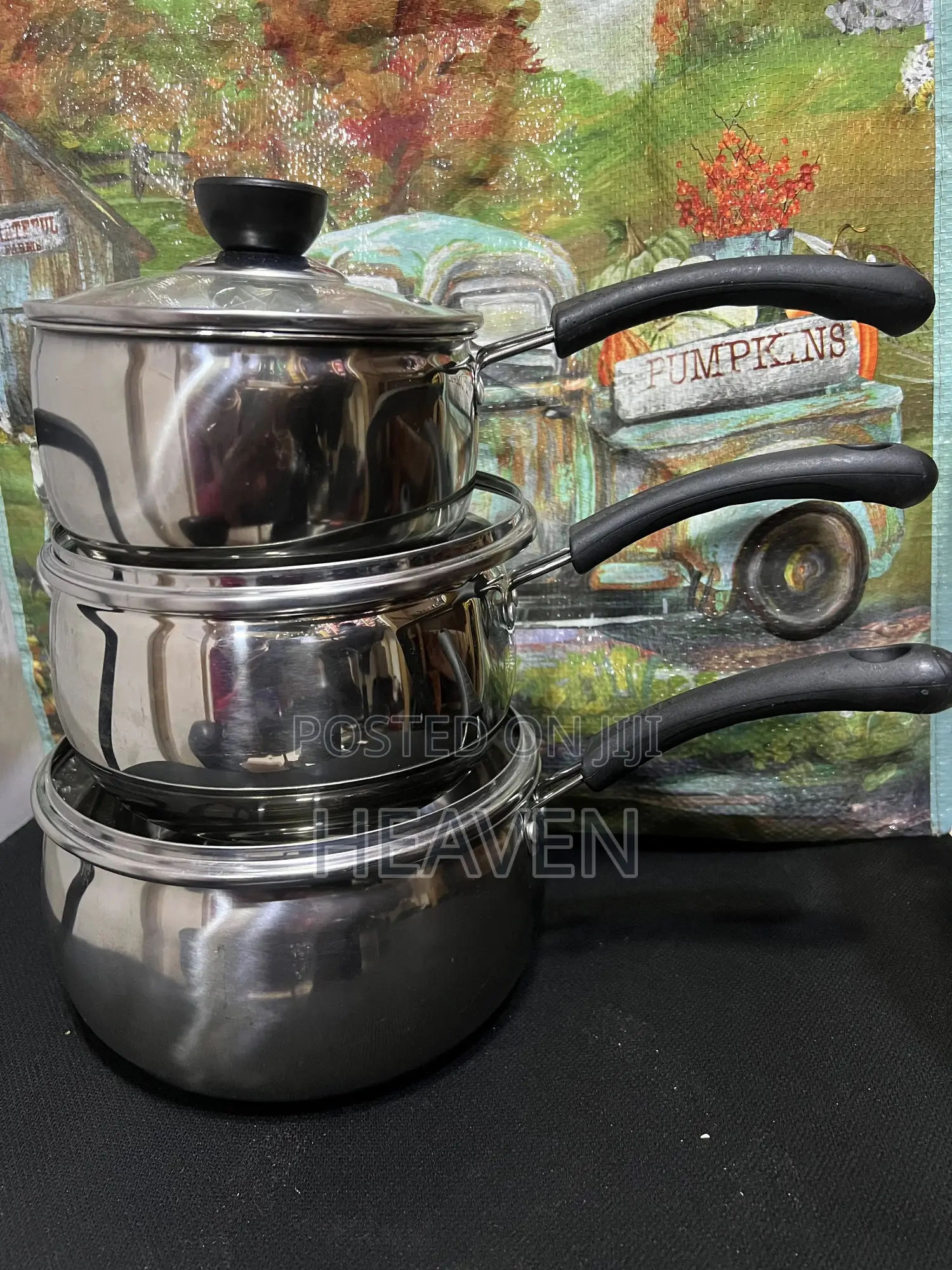 Silver Stainless Steel Panset With Handler