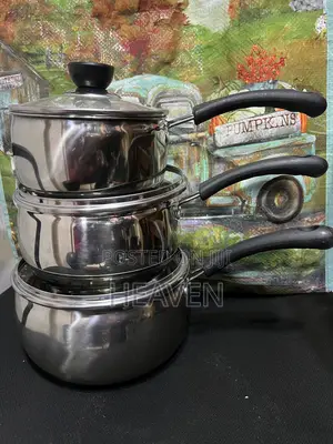 Silver Stainless Steel Panset With Handler