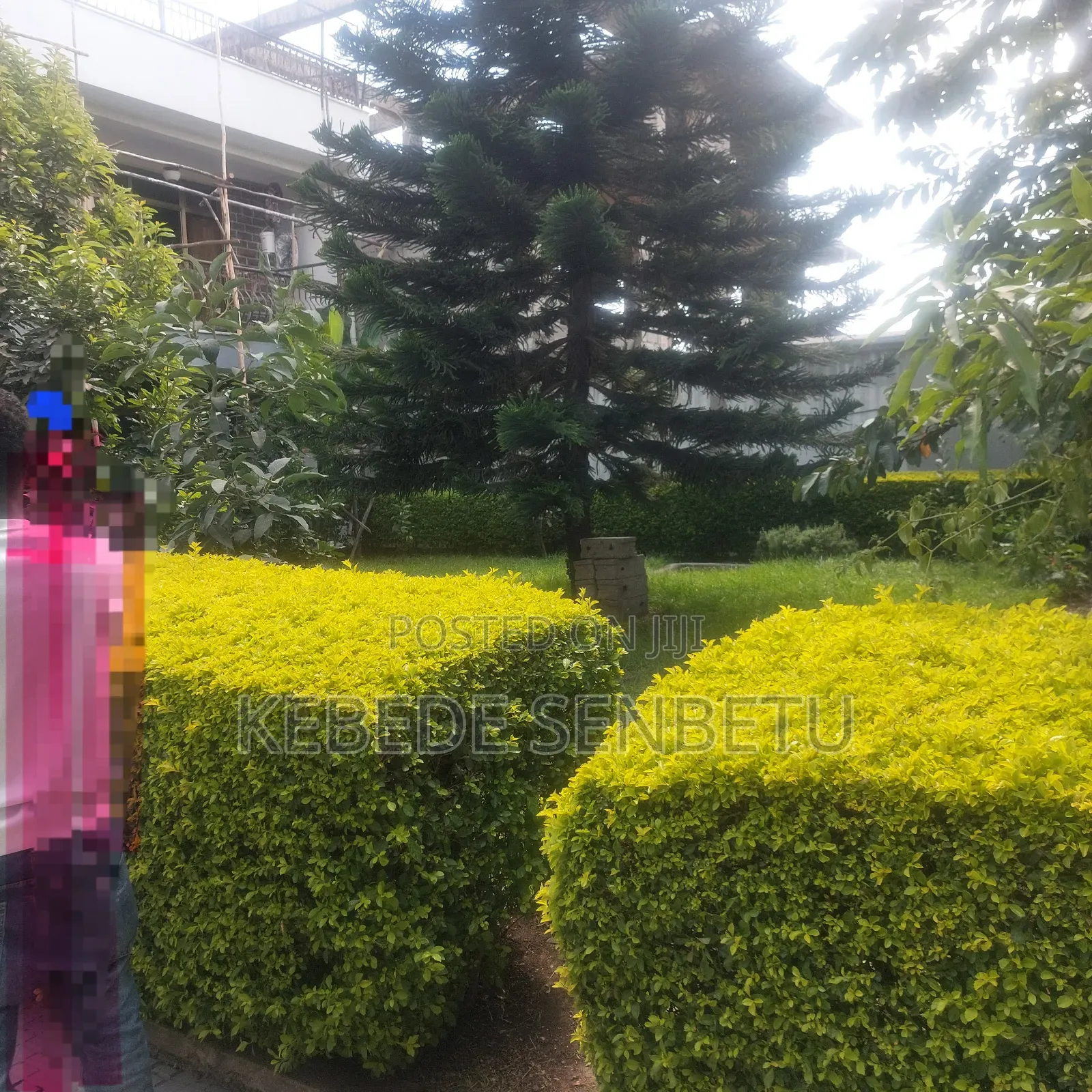 4bdrm House in Oromia, East Shewa for rent