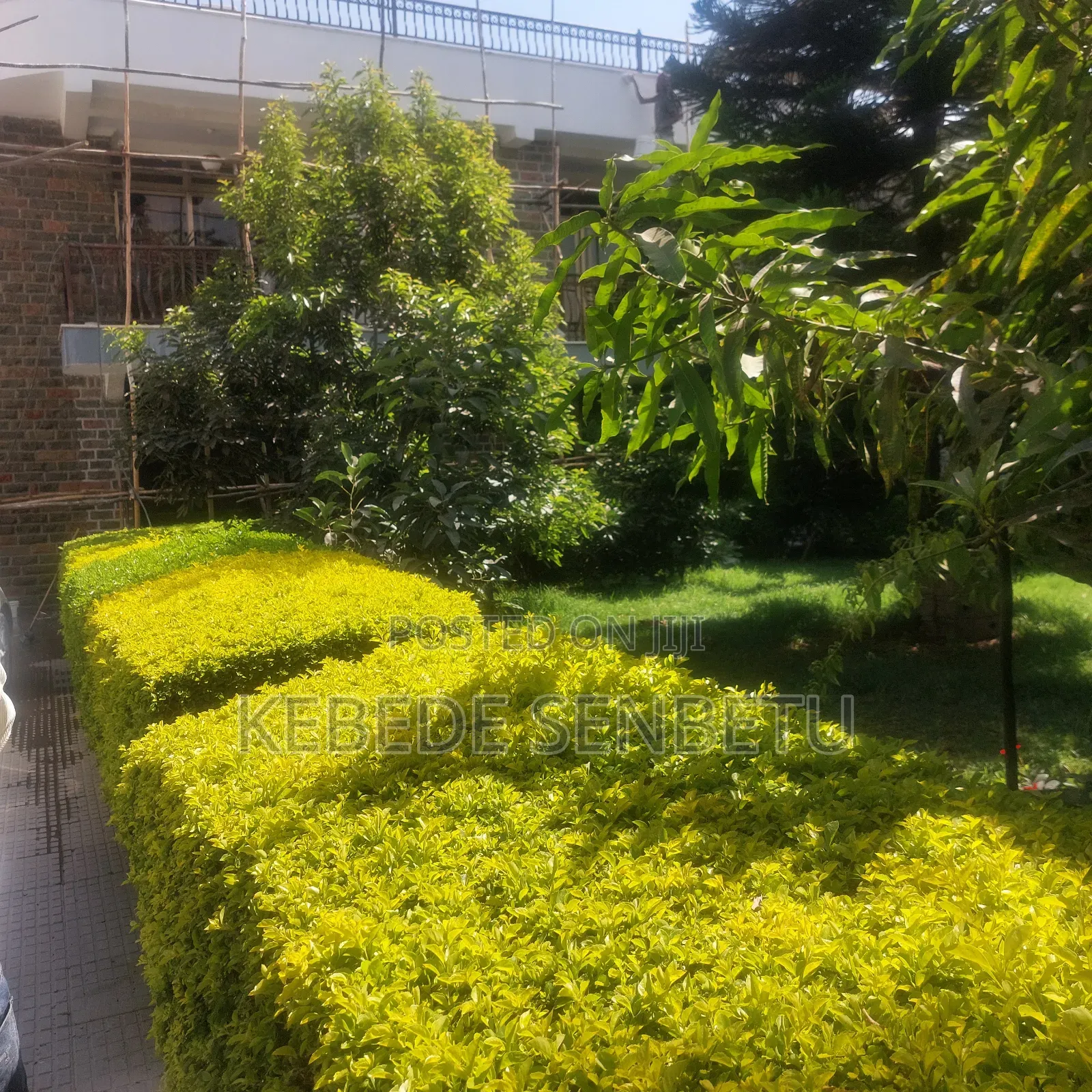 4bdrm House in Oromia, East Shewa for rent