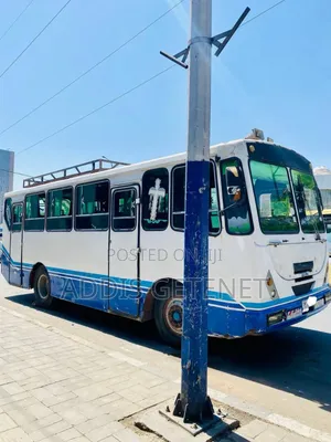 Iveco Scolabus 1992 White