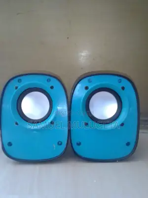 Computer Speaker