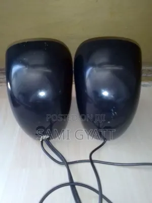 Computer Speaker