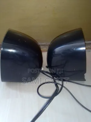 Computer Speaker