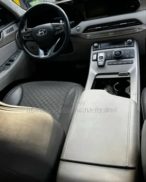 Hyundai Palisade 2023 Ivory