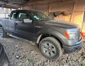 Ford F-150 XLT 4dr SuperCrew 5.5 ft. SB (3.7L 6cyl 6A) 2014 Gray