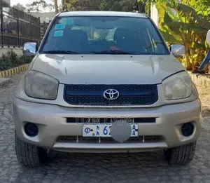 Toyota RAV4 2.0 4x4 2005 Gold