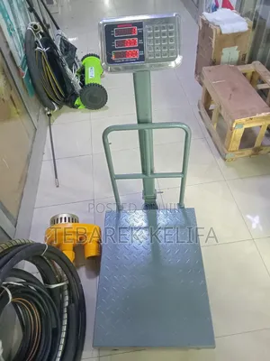 Oreintal Price Computing Scale 300kg