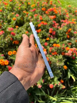 Samsung Galaxy S25 Ultra 512 GB