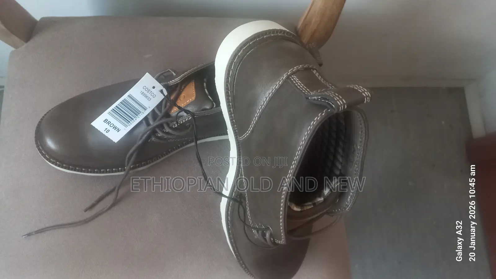 Buffalo David Bitton