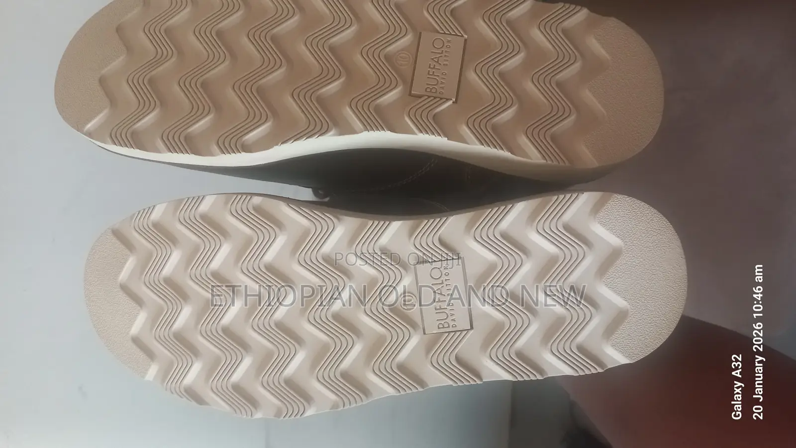 Buffalo David Bitton