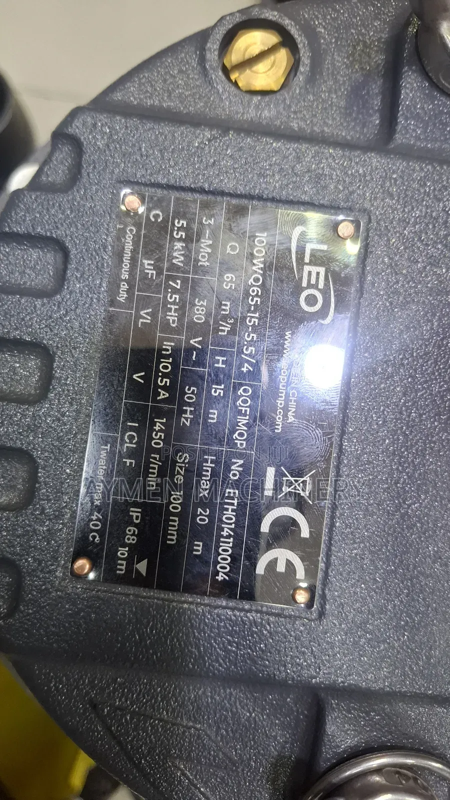 Leo Submersible Pump 7.5hp 5.5kw