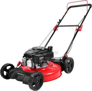 Gasoline Lawn Mower