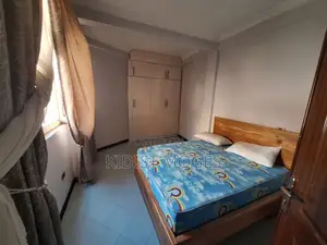 Furnished 2bdrm Apartment in Bole for rent