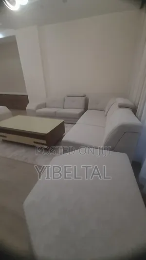 Sky Cleaning Service Call