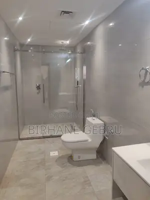 2bdrm Apartment in Luxury Apartiment, Lideta for rent