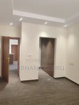 2bdrm Apartment in Luxury Apartiment, Lideta for rent