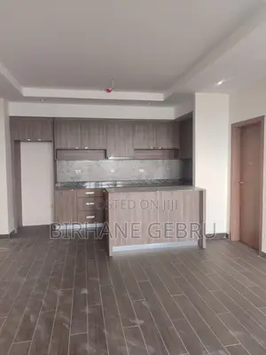 2bdrm Apartment in Luxury Apartiment, Lideta for rent