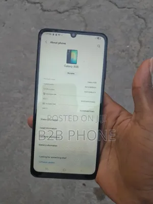 Samsung Galaxy A06 64 GB Blue