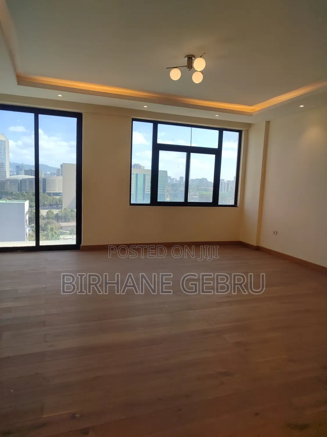 5bdrm Apartment in Luxury Apartiment, Lideta for rent