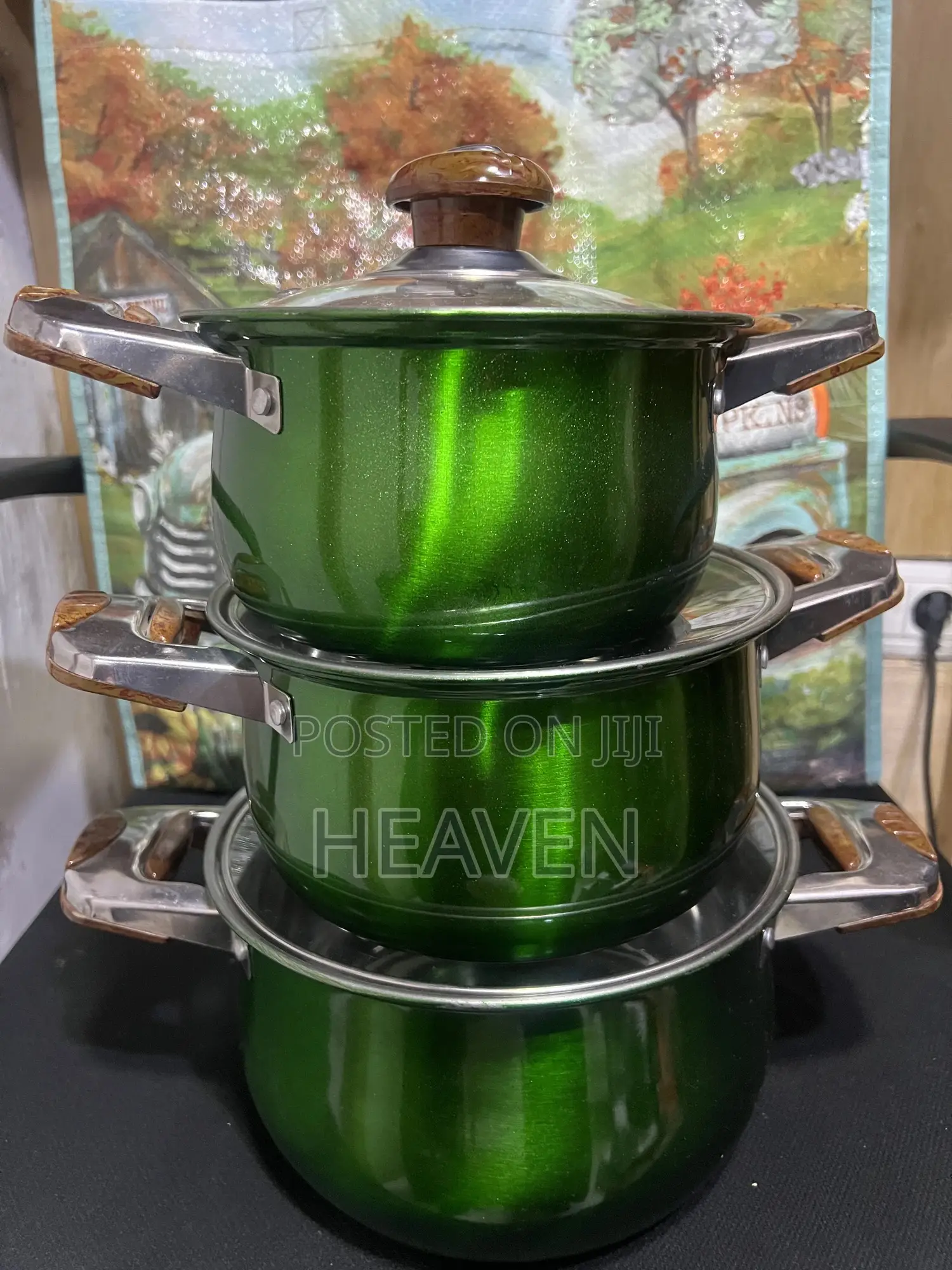 Green Stainless Steel Panset