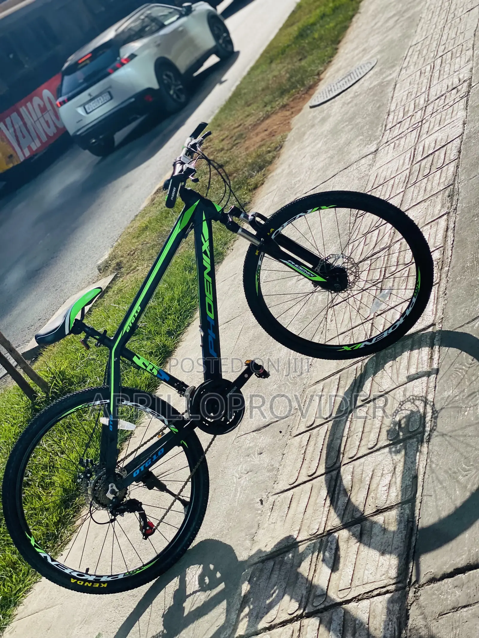 Phoenix得奖的成绩mountainBicycle Phoenix 26 Inch Bicycle