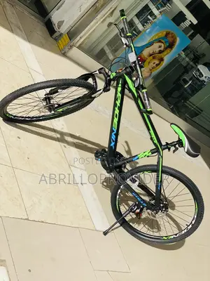 PhoenixMountainBicycle Phoenix 26 Inch Bicycle