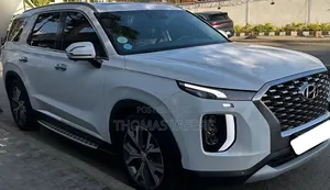 Hyundai Palisade 2023 White