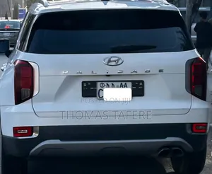 Hyundai Palisade 2023 White