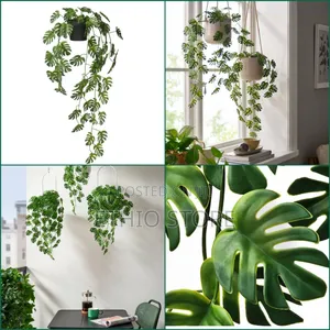 Ikea Potted Monstera Plant