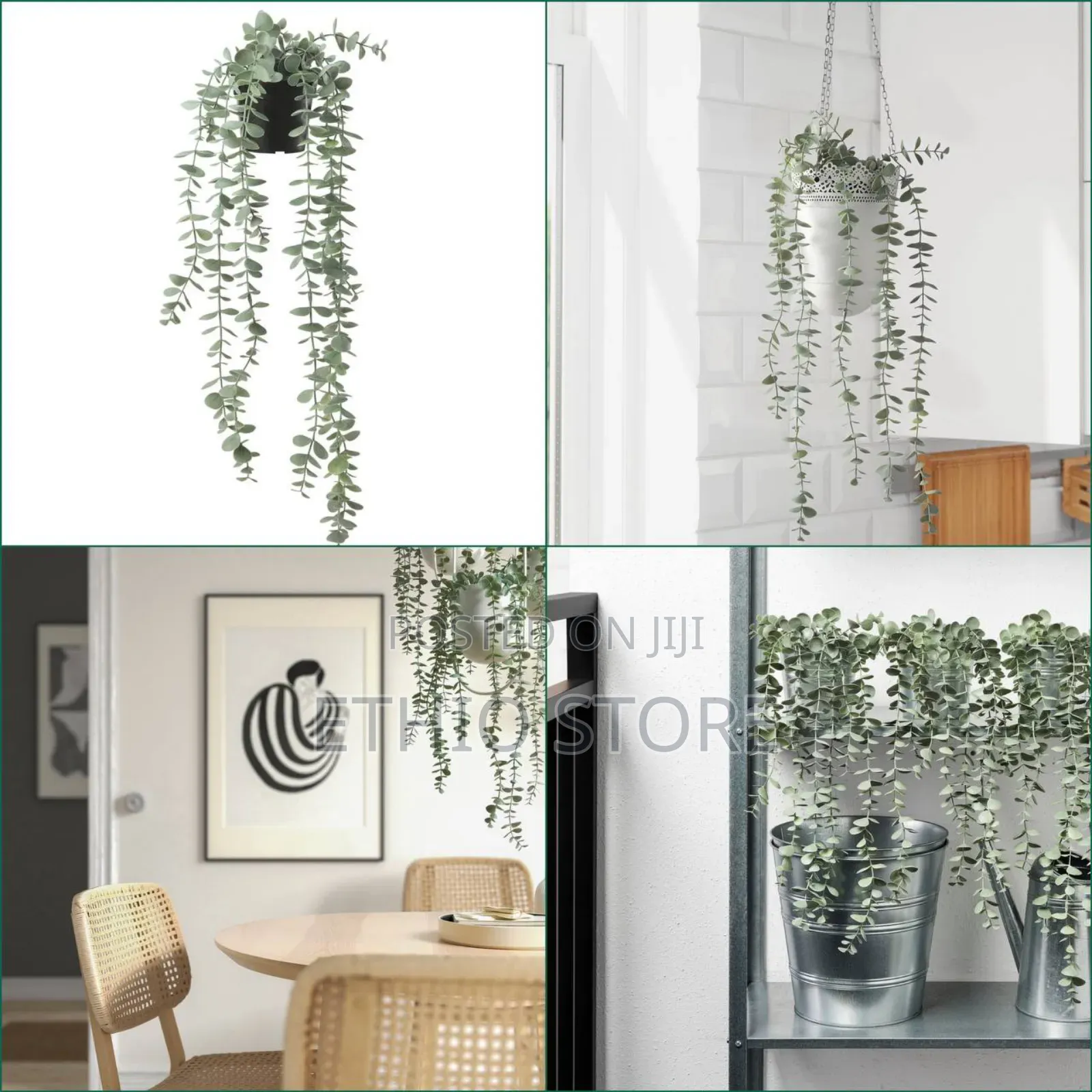 Ikea Potted Eucalyptus Plant