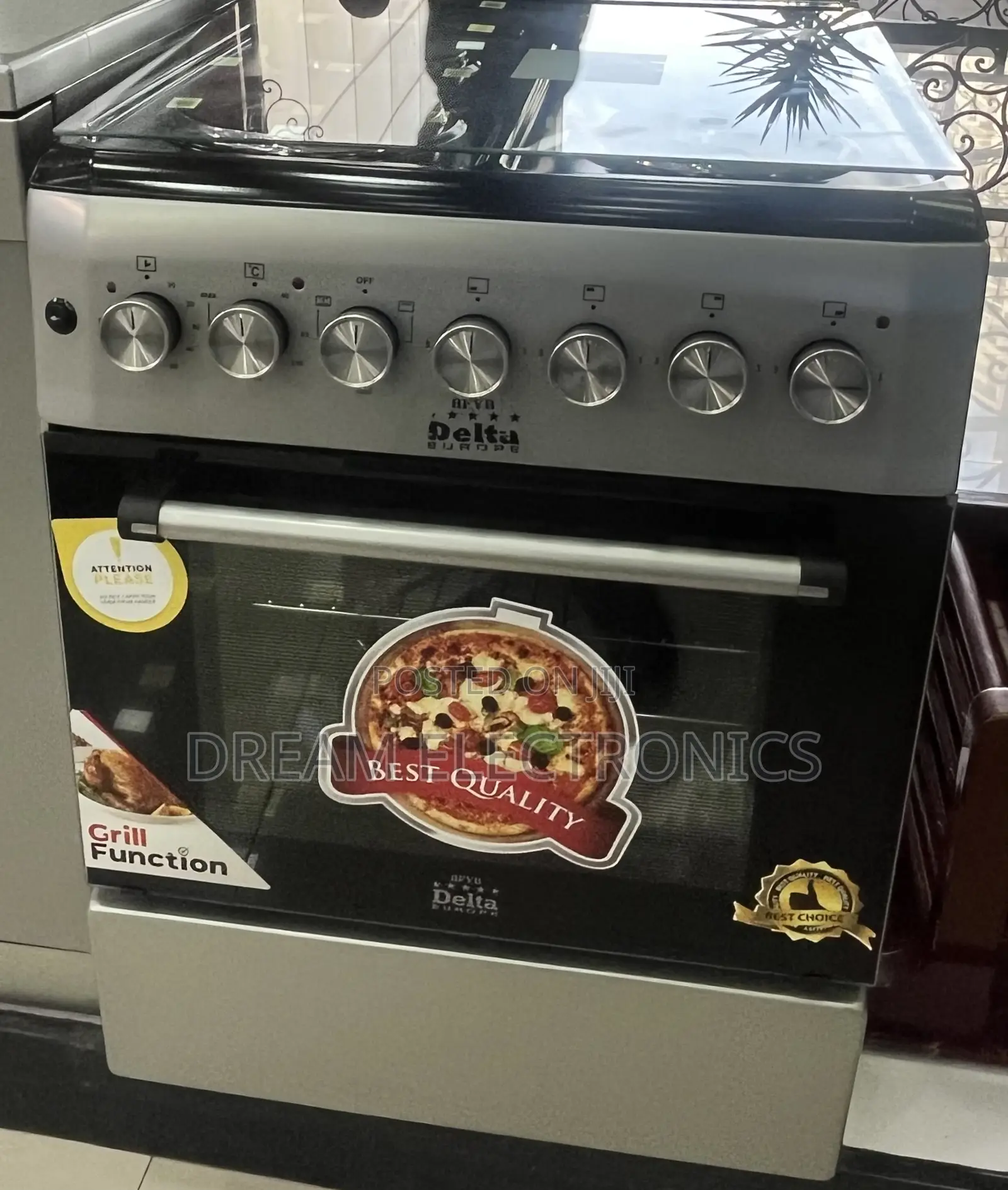 Delta Europe Full Function Standing Oven