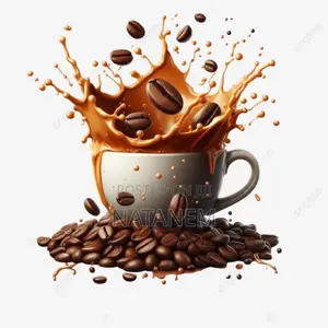 Wellega Coffee