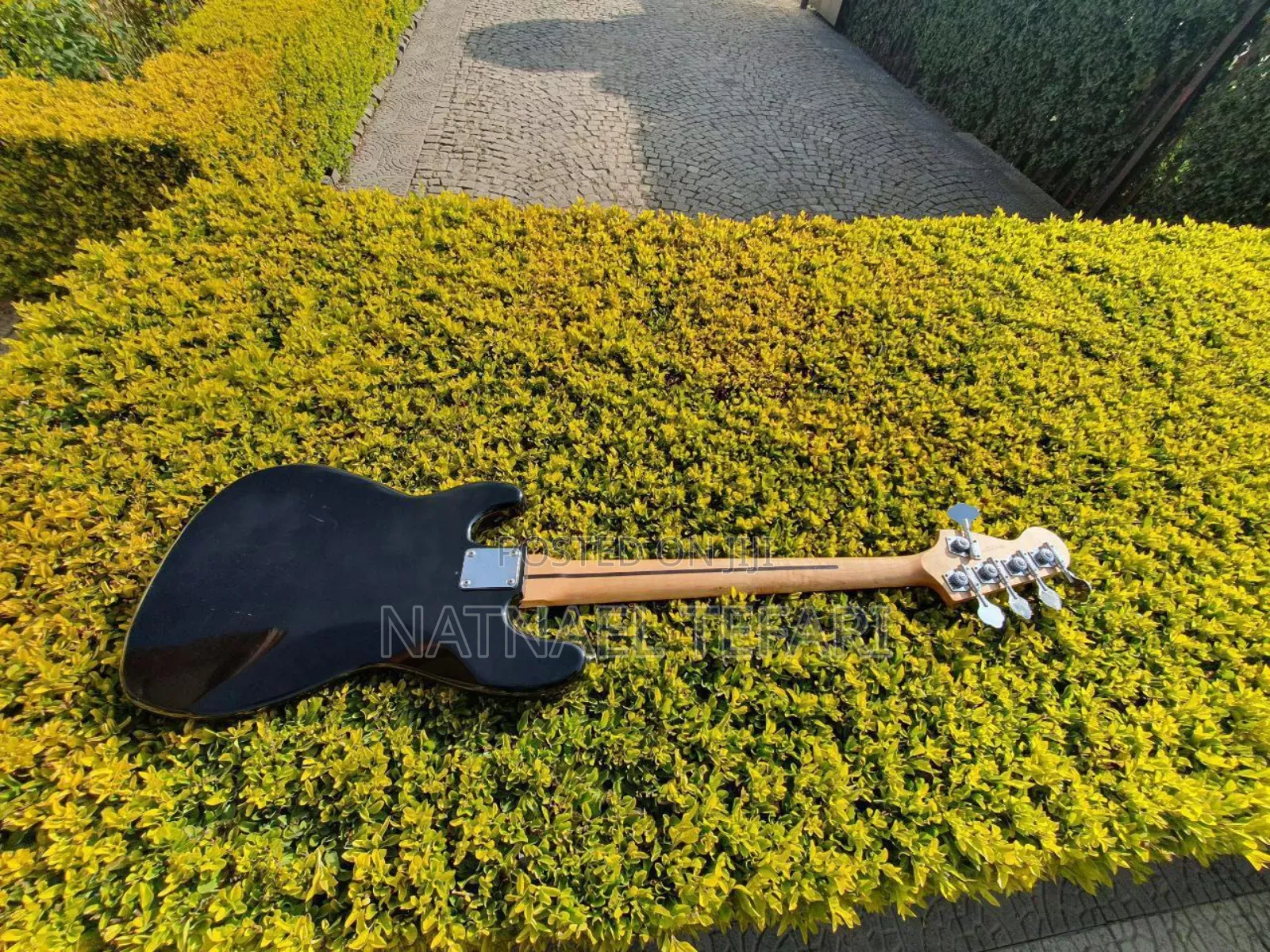 Jazz Bass for Musicians