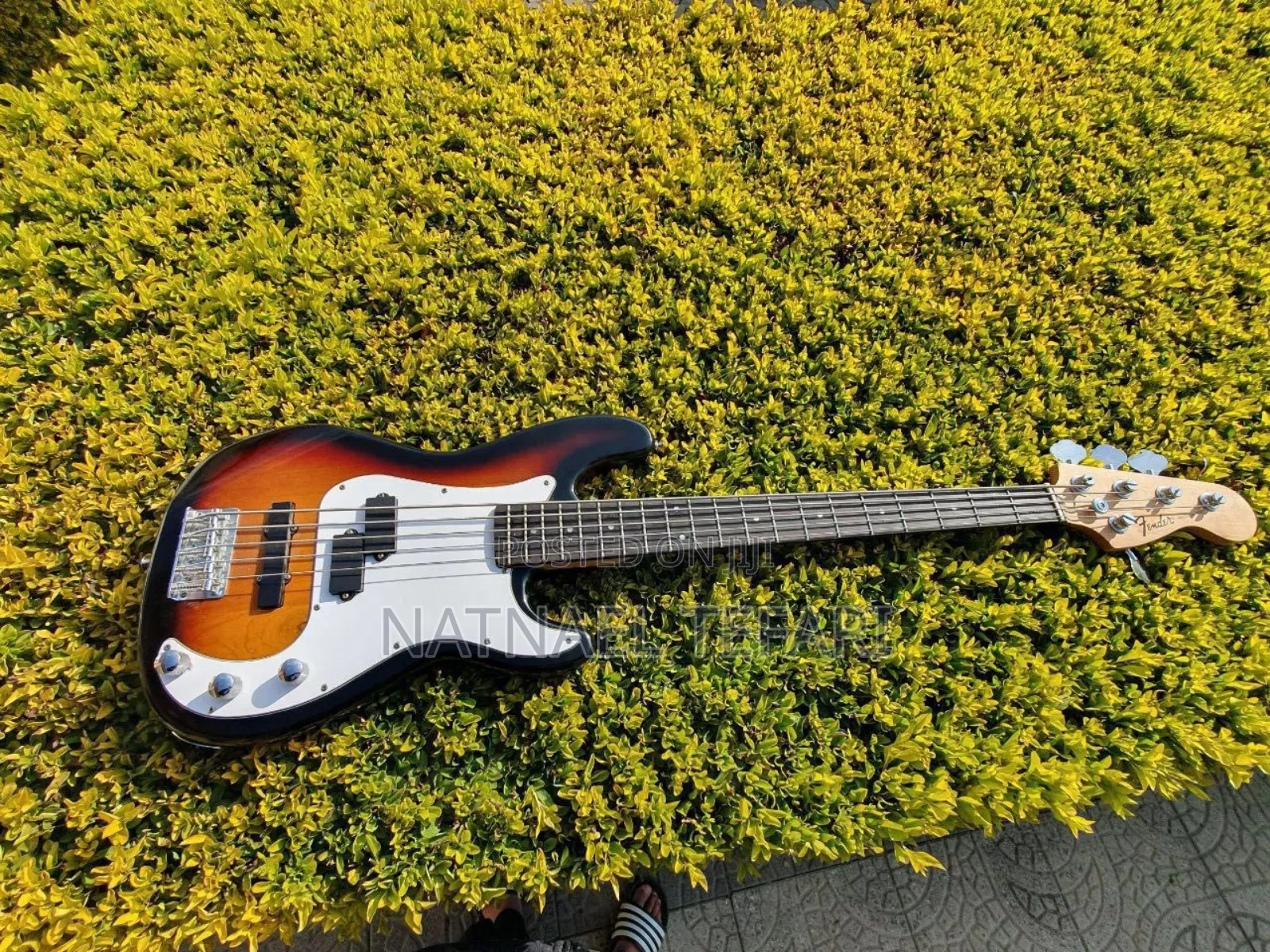 Jazz Bass for Musicians