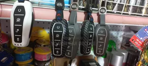 የቢዋዲ መኪናዎች ቁልፍ መያዣ