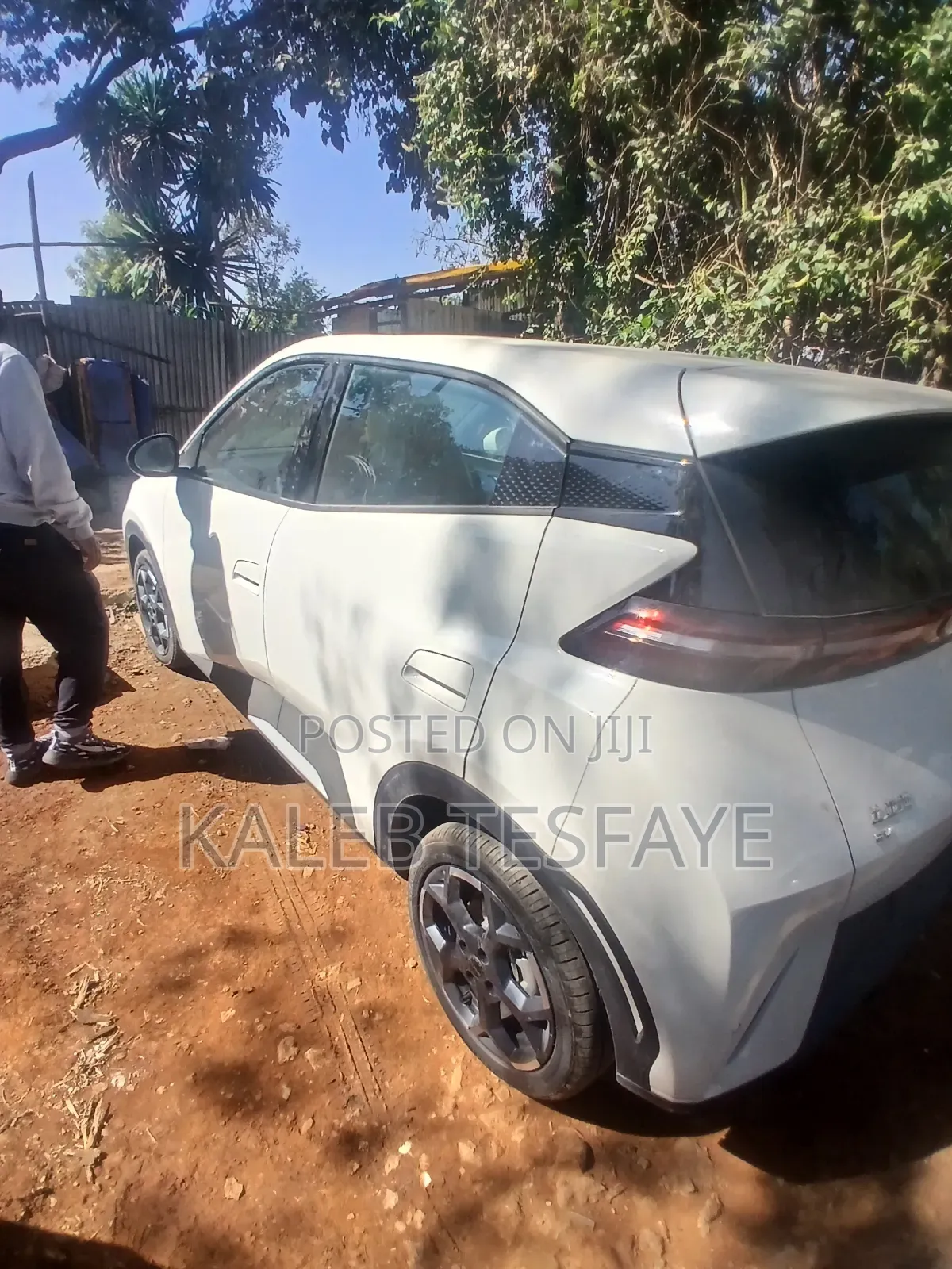 New BYD Seagull 2025 White