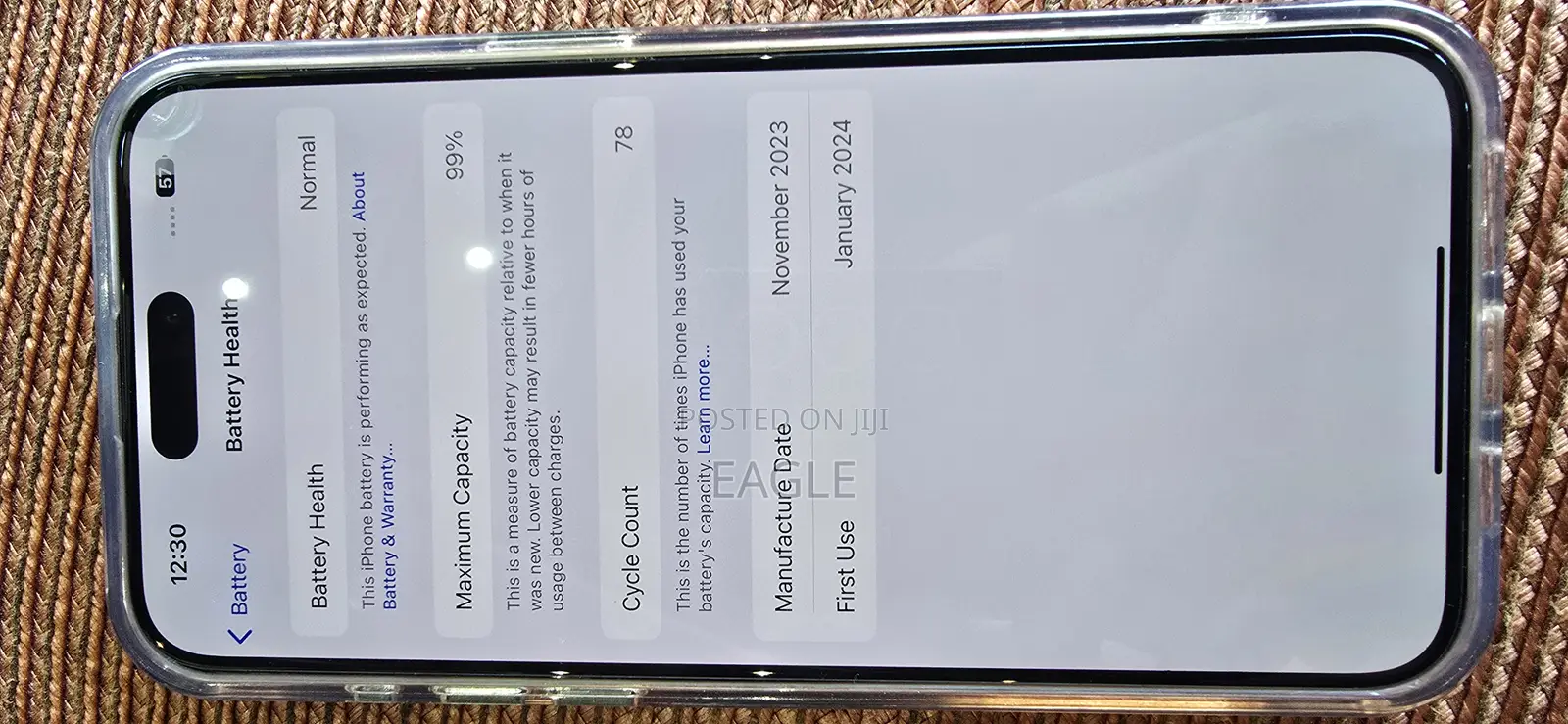 Apple iPhone 15 Pro Max 256 GB Silver