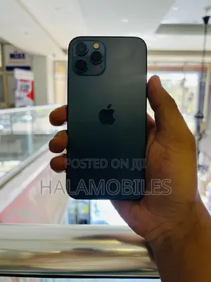 Apple iPhone 12 Pro 256 GB Gray