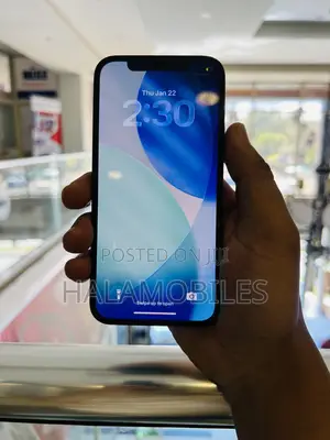 Apple iPhone 12 Pro 256 GB Gray