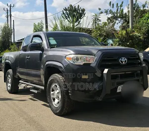 Toyota Tacoma 2017 Gray