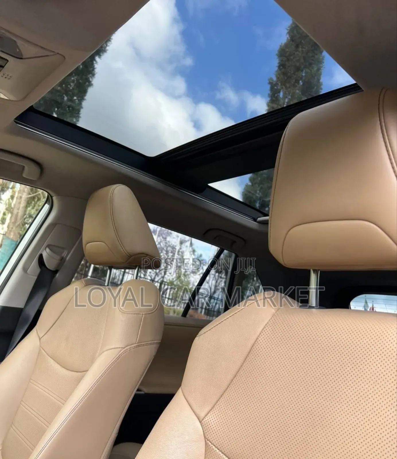 Toyota RAV4 2024 White